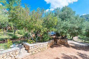 Sa Tarongera in Andratx