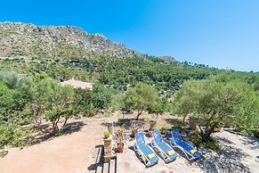 Sa Tarongera in Andratx