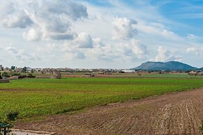 Sestados in Mallorca