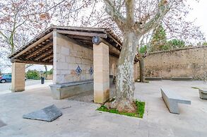 Son Barbot Can Robi Nou