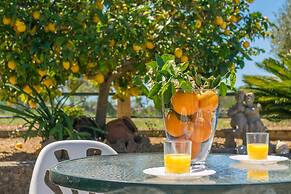 Son Rossinyol in Llub