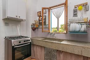 Son Negre in Son Negre