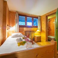 Chalet Tr la Vieux