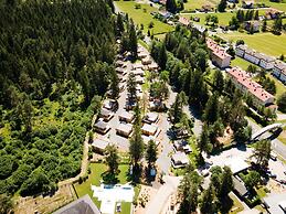 Luxury Chalet With ac Near Pressegger See