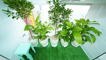 PrivatePremiumSeocho's Happy House 330m2