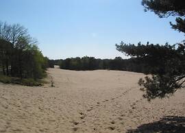 Luxe Lodge Near Schaijk