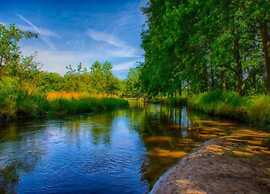 Luxe Lodge Near Schaijk