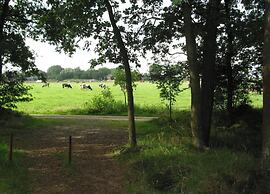 Luxe Lodge Near Schaijk