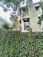 Amritara Kasauli kollections