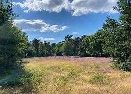 Villa in Someren Near Somerense Heide