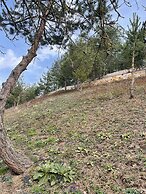 Candarlı Çiftliği