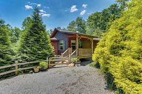 Peaceful Murphy Cabin w/ Fire Pits & Forest Views!