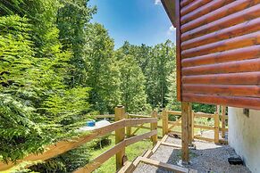 Peaceful Murphy Cabin w/ Fire Pits & Forest Views!
