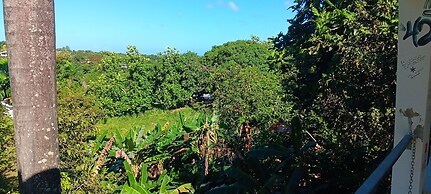 Dressrosa Guest house