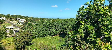 Dressrosa Guest house