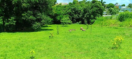 Dressrosa Guest house