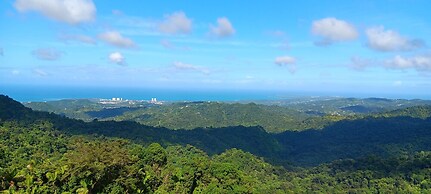 Dressrosa Guest house