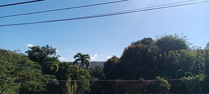 Dressrosa Guest house