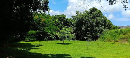 Dressrosa Guest house