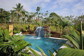 Root Wellness Arenal
