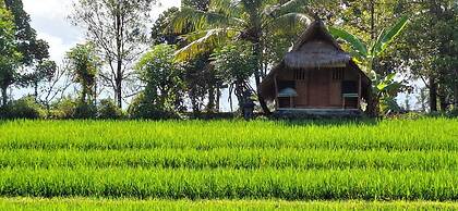 Uma Nirmala aling-aling