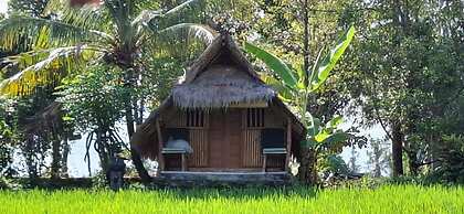 Uma Nirmala aling-aling