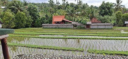 Uma Nirmala aling-aling