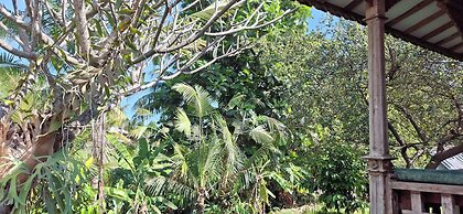 Uma Nirmala aling-aling