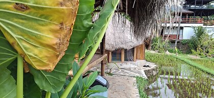 Uma Nirmala aling-aling