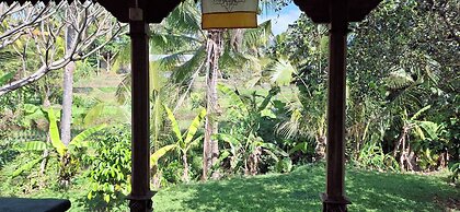 Uma Nirmala aling-aling