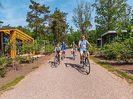 Luxury Holiday Home on a Holiday Park, Adjacent to the Hoge Veluwe Nat