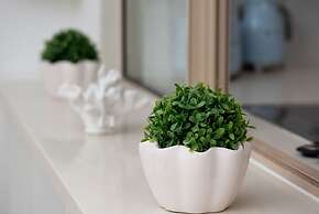 Reef Apartment Cairns - 4 Pools Resort BBQ