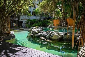 Tropical Paradise Cairns - 9 Pools Gym BBQ