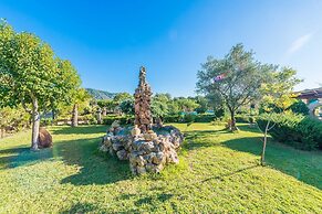 Hibiscus in Sa Pobla