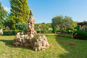 Hibiscus in Sa Pobla