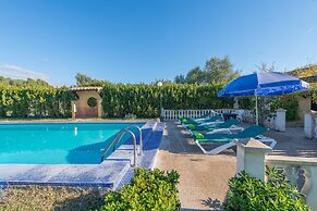 Hibiscus in Sa Pobla