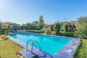 Hibiscus in Sa Pobla