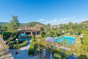 Hibiscus in Sa Pobla