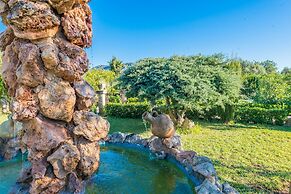 Hibiscus in Sa Pobla