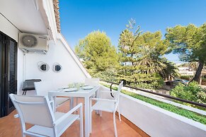 Mercuri in Port d Alcudia