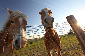 Bungalow With Sauna Near Valkenburg