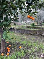 Villa Milone Etna Country House