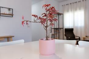 La Piedra De Coin in Co n