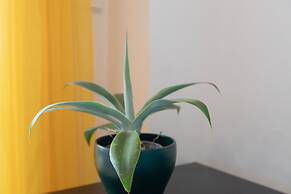 Marina De La Duquesa 805