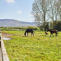 Host Stay Rose House