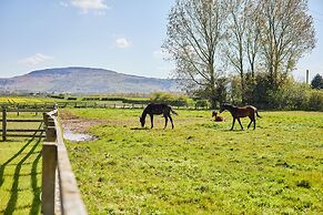 Host Stay Rose House
