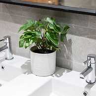 Host Stay Princes Place Hideaway V