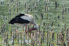 Find With Nr 509 Your Holiday Home in the Harz Mountains