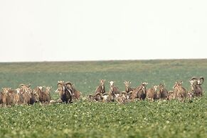 Find With Nr 509 Your Holiday Home in the Harz Mountains