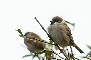 Find With Nr 509 Your Holiday Home in the Harz Mountains